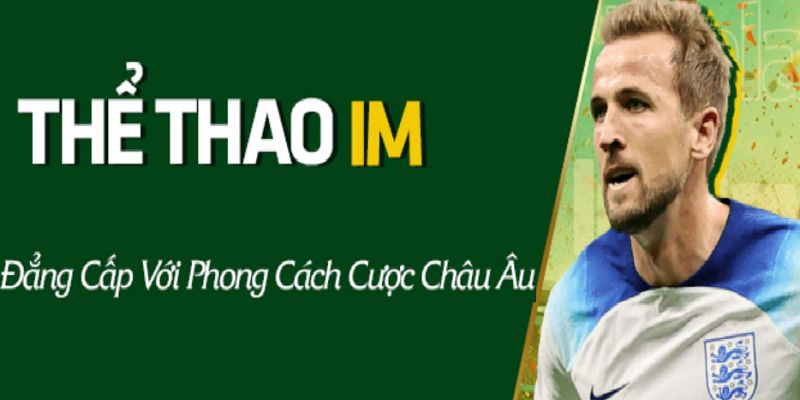 Đôi nét tổng quan về sảnh game IM KUBET